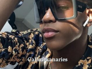 callmekanaries SexyIdol