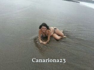 Canariona23
