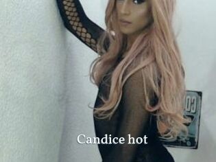 Candice_hot