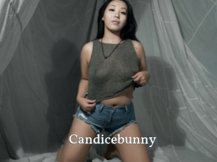 Candicebunny