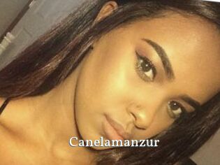 Canelamanzur