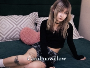 Carolinawillow