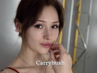 Carrybush