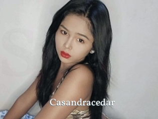 Casandracedar