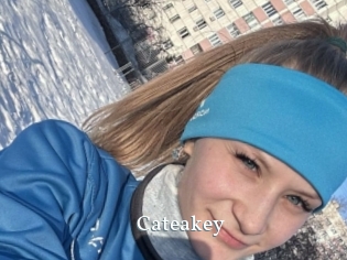 Cateakey