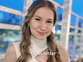 Cateclutter