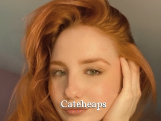 Cateheaps
