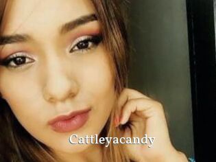 Cattleyacandy