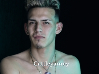 cattleyanrey SexyIdol