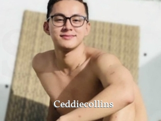 Ceddiecollins