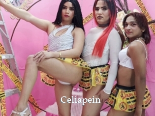 celiapein SexyIdol