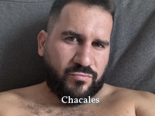 Chacales