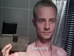 Chaton19