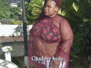 Chubby_bule