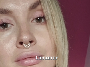 Cinamur