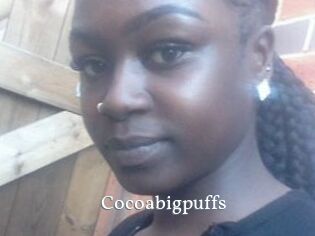 Cocoabigpuffs