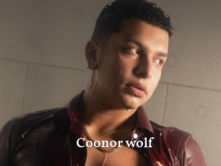 Coonor_wolf