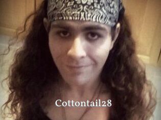 Cottontail28