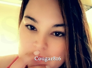 Cougar816