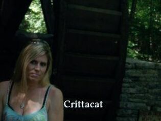 Crittacat