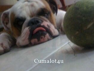 Cumalot4u