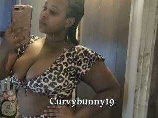 Curvybunny19