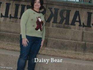 Daisy_Bear