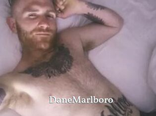 DaneMarlboro