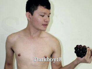 Darkboy18