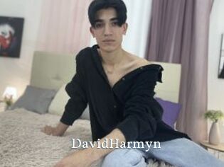 DavidHarmyn