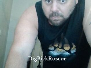 DigBickRoscoe