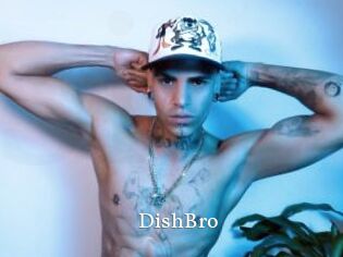 DishBro