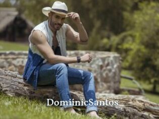 DomiinicSantos