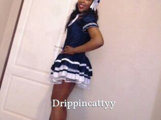 Drippincattyy