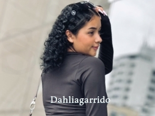 Dahliagarrido