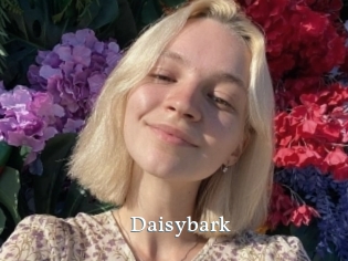 Daisybark