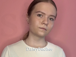Daisybucher