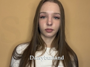 Daisyburland