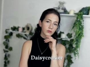 Daisycrosier