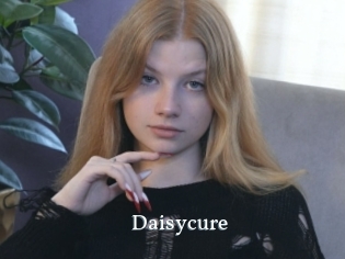 Daisycure