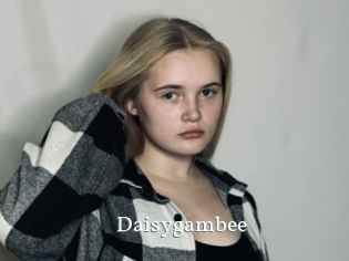 Daisygambee