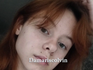 Damariscolvin