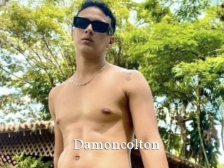 Damoncolton