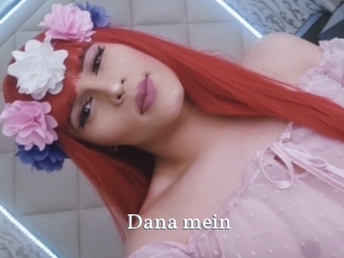 Dana_mein