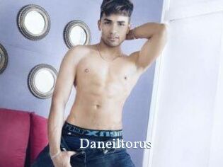 Daneil_torus