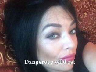 Dangerous_wild_cat
