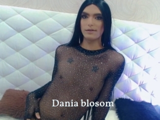Dania_blosom
