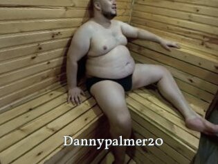 Dannypalmer20