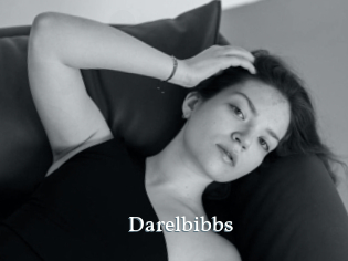 Darelbibbs