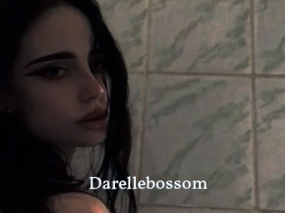 Darellebossom